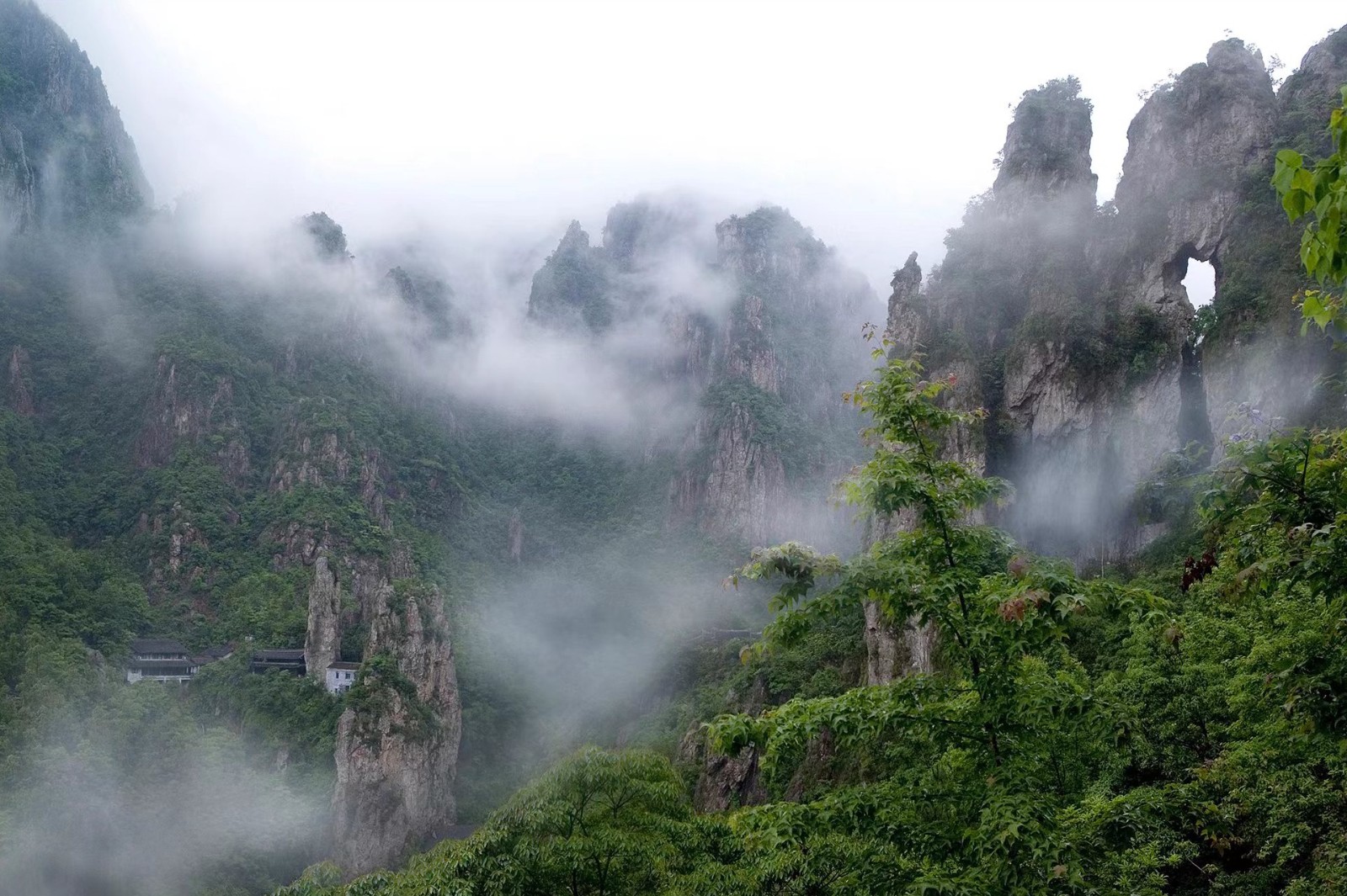 1688004439377174.jpg 平陽南雁蕩山項(xiàng)目.jpg